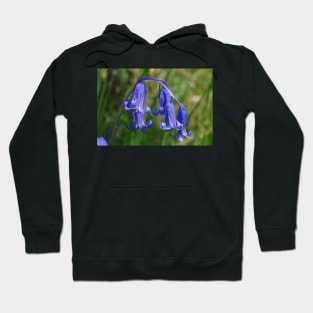 Bluebell in the shade Hoodie